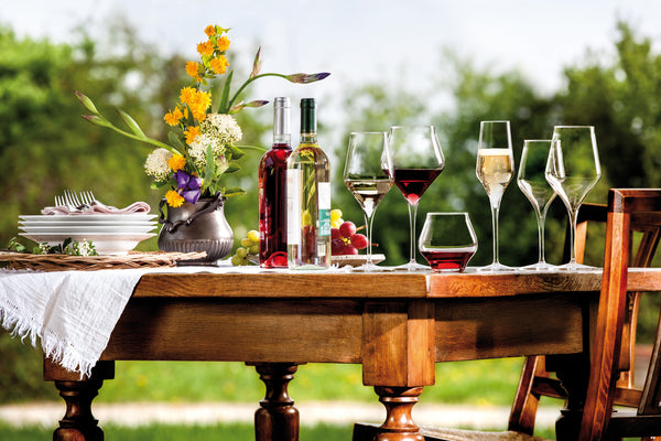 Beginner’s Guide to Glassware: 3 Types of Wine Glasses You Need to Know