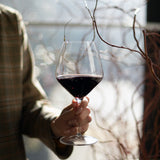 Italian Premium Pinot Noir Red Wine Glasses | 21oz | Atelier | Set of 6 - Luigi Bormioli USA