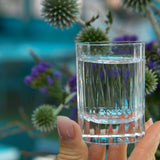 Italian Premium Retro Shot Glasses | 2.25oz | Bach | Set of 4 - Luigi Bormioli USA