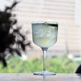 Italian Premium Sloe Gin Glasses | 20.25oz | Gin & Tonic | Set of 2 - Luigi Bormioli USA
