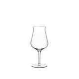Italian Premium Tester Beer Glasses | 14.25oz | Birrateque | Set of 2 - Luigi Bormioli USA