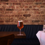 Italian Premium Tester Beer Glasses | 14.25oz | Birrateque | Set of 2 - Luigi Bormioli USA