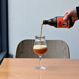 Italian Premium Tester Beer Glasses | 14.25oz | Birrateque | Set of 2 - Luigi Bormioli USA