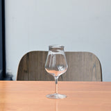 Italian Premium Tester Beer Glasses | 14.25oz | Birrateque | Set of 2 - Luigi Bormioli USA