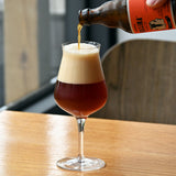 Italian Premium Tester Beer Glasses | 14.25oz | Birrateque | Set of 2 - Luigi Bormioli USA