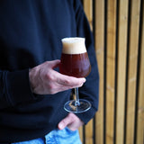 Italian Premium Tester Beer Glasses | 14.25oz | Birrateque | Set of 2 - Luigi Bormioli USA