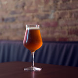 Italian Premium Tester Beer Glasses | 14.25oz | Birrateque | Set of 2 - Luigi Bormioli USA