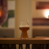 Italian Premium Seasonal Beer Glasses | 23.25oz | Birrateque | Set of 2 - Luigi Bormioli USA