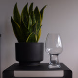 Italian Premium Wheat Beer Glasses | 26.5oz | Birrateque | Set of 2 - Luigi Bormioli USA