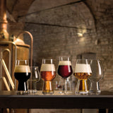 Italian Premium IPA Beer Glasses | 18.25oz | Birrateque | Set of 2 - Luigi Bormioli USA