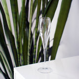Empty Vinoteque Flute standing on a white surface with a plant in the background