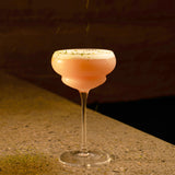 Backdoor '20s Italian Premium Nick & Nora Cocktail glass filled with a pink cocktail and garnished with line zest standing on a marble surface and a dark background