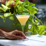 Hand holding a cocktail glass with a yellow drink against a blurred green plant background
