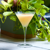 Cocktail in a martini glass with green foliage in the background