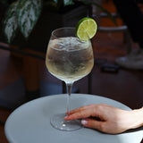 Hand holding a Gin & Tonic Old Tom Gin glass filled with a light yellowish cocktail, garnished with a slice of lime on a gray surface and plant in the background