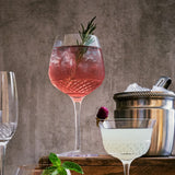 Gin & Tonic Old Tom Gin glass filled with burgundy cocktail and garnished with rosemary standing on a wooden surface, metal ice bucket and other basses in the background