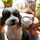 Italian Premium Canning & Food Jar XL | 17oz | Lock-Eat | 1 Piece - Luigi Bormioli USA