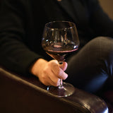 Italian Premium Burgunder Red Wine Glasses | 17oz | Michelangelo Masterpiece | Set of 4 - Luigi Bormioli USA