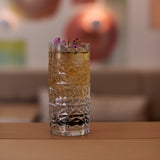 Italian Premium Textures Highball Glasses | 16.25oz | Mixology | Set of 4 - Luigi Bormioli USA