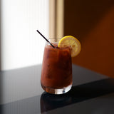 Italian Premium Classic Club Highball Glasses | 17.25oz | Mixology | Set of 6 - Luigi Bormioli USA