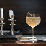 Italian Premium American Gin Glasses | 27oz | Gin & Tonic | Set of 2 - Luigi Bormioli USA