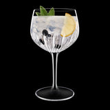 Italian Premium American Gin Glasses | 27oz | Gin & Tonic | Set of 2 - Luigi Bormioli USA