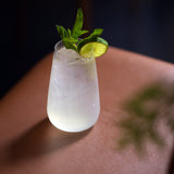 Italian Premium Highball Glasses | 19.25oz | Optica | Set of 4 - Luigi Bormioli USA