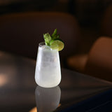 Italian Premium Highball Glasses | 19.25oz | Optica | Set of 4 - Luigi Bormioli USA