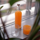 Italian Premium Authentica Glass Bottle with Steel Airtight Closure | 17oz | Optima | 1 Piece - Luigi Bormioli USA