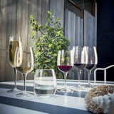 Italian Premium Goblet Glasses | 16.25oz | Palace | Set of 6 - Luigi Bormioli USA