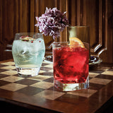 Italian Premium Whiskey Glasses | 11.75oz | Strauss | Set of 6 - Luigi Bormioli USA