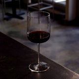 Italian Premium London Dry Gin Glasses | 21.75oz | Gin & Tonic | Set of 2 - Luigi Bormioli USA