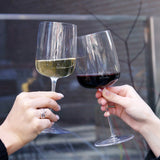 Italian Premium London Dry Gin Glasses | 21.75oz | Gin & Tonic | Set of 2 - Luigi Bormioli USA