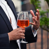 Luigi Bormioli Talismano 18.5 oz Chardonnay Grand Cru White Wine Glasses (Set of 4)