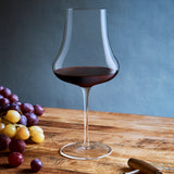 Luigi Bormioli Tentazioni 19.25 oz Merlot Red Wine Glasses (Set Of 6)