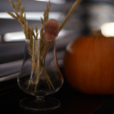 Italian Premium Tester Wine Glasses | 7.75oz | Tentazioni | Set of 6 - Luigi Bormioli USA