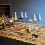 Italian Premium Chardonnay White Wine Glasses | 16oz | Tentazioni | Set of 6 - Luigi Bormioli USA
