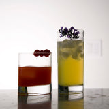 Veronese DOF and Highball Glasses filled with garnished cocktails standing on a light background