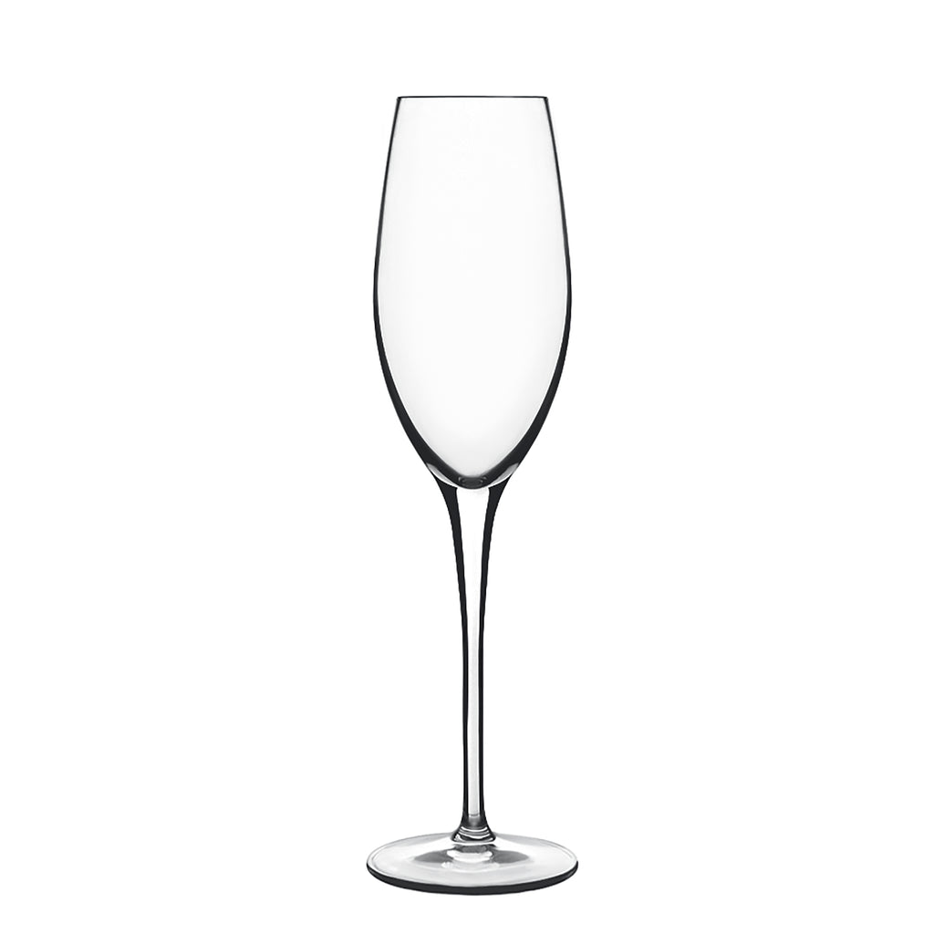 Luigi Bormioli Optica 7.5 oz Martini Glasses Set of 4