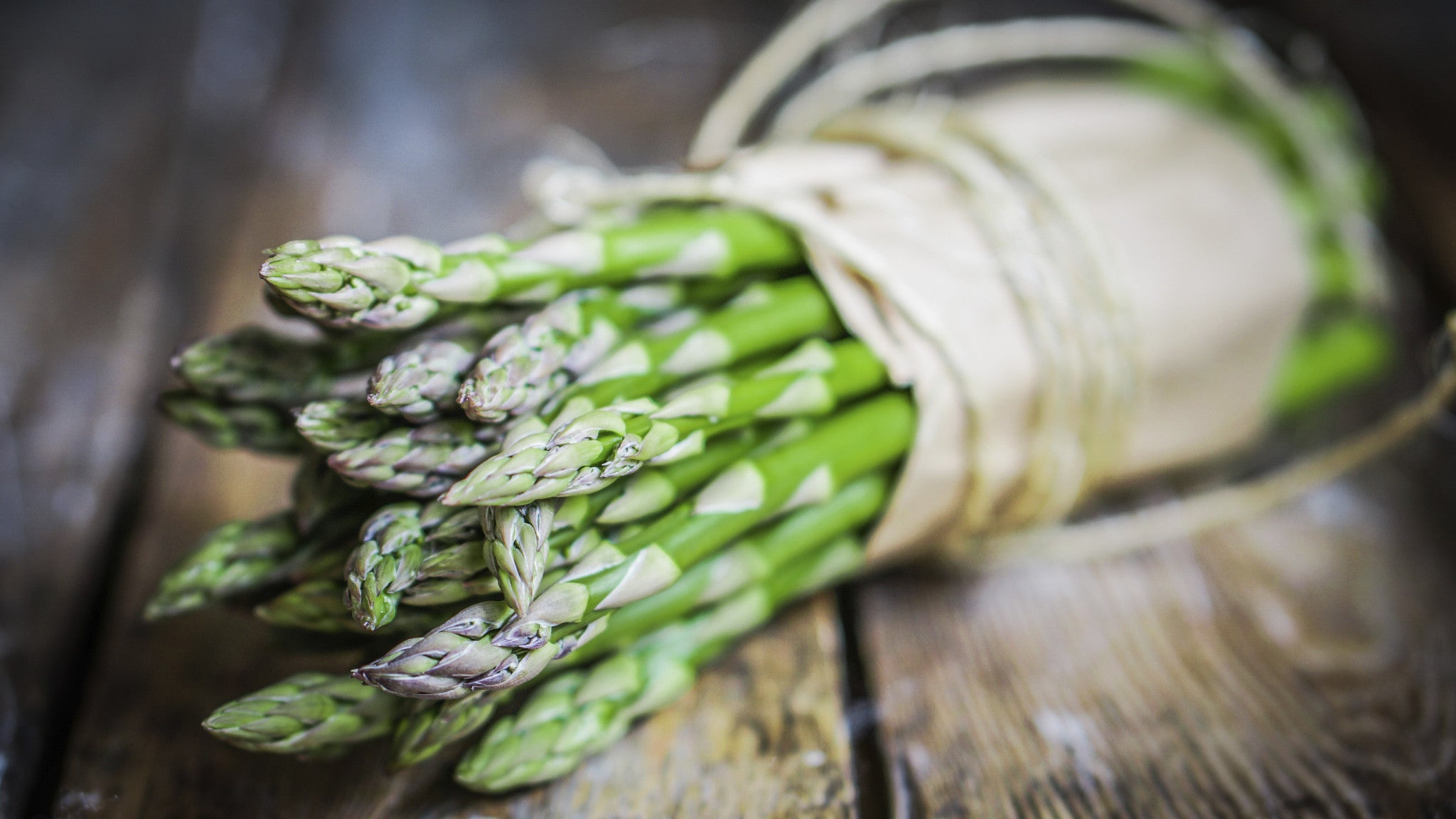 Must-Try Spring Beer & Food Pairing: Maibock & Grilled Asparagus and Spring Onions with Lemon Dressing