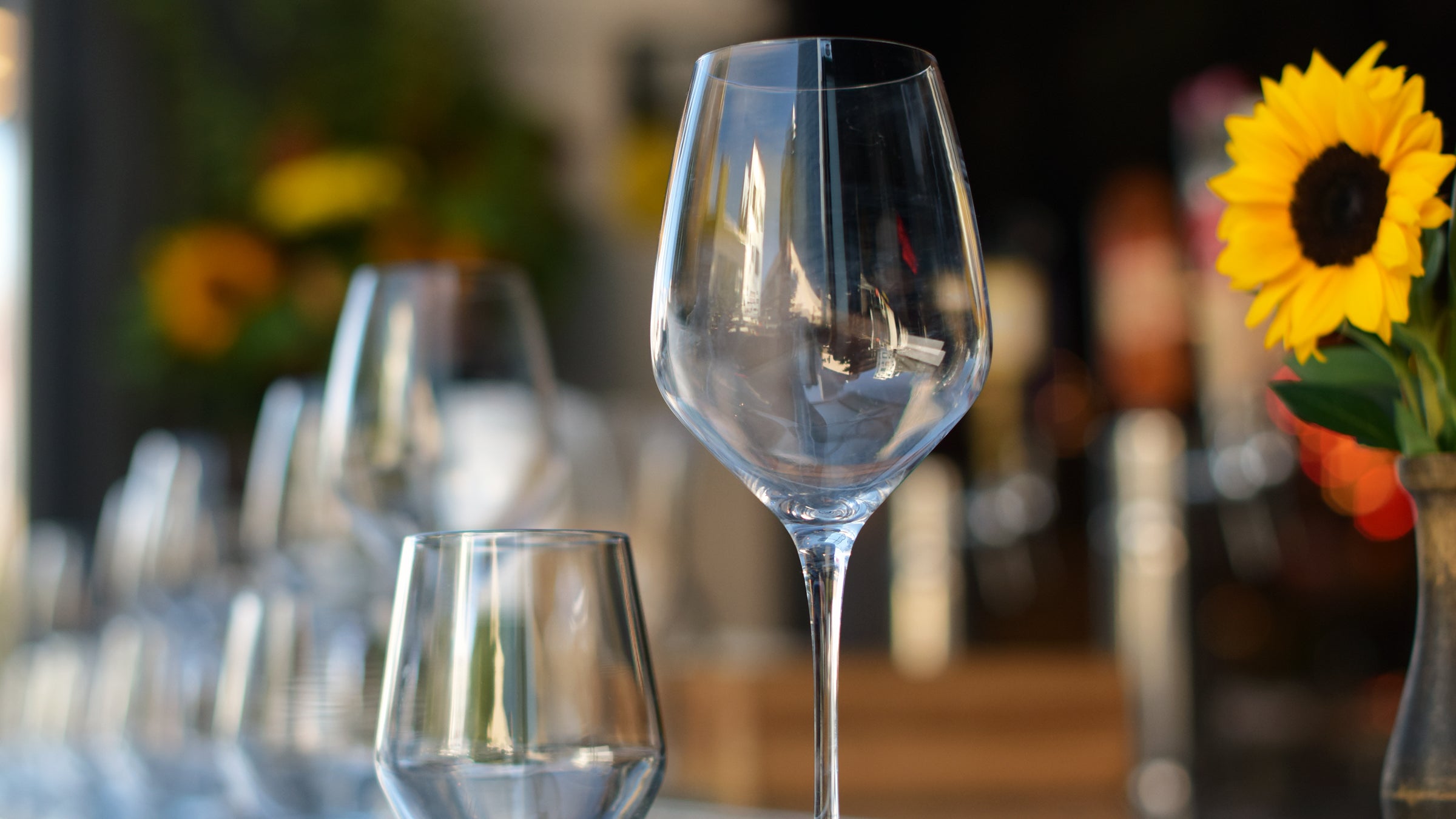 The Difference Between Red & White Wine Glasses