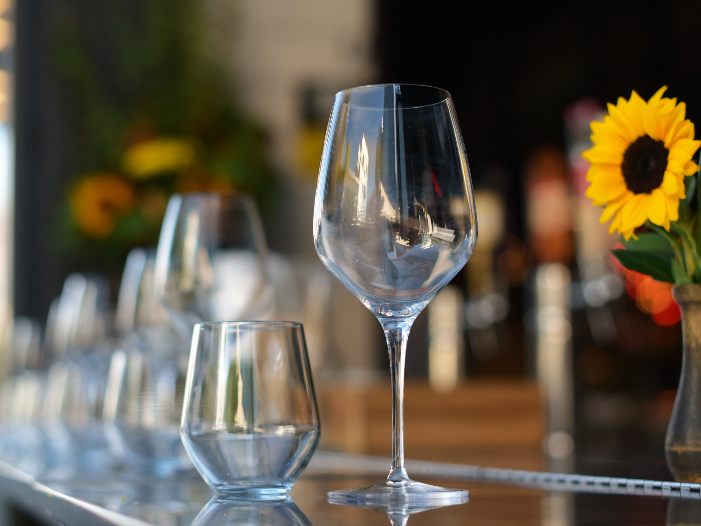 The Difference Between Red & White Wine Glasses