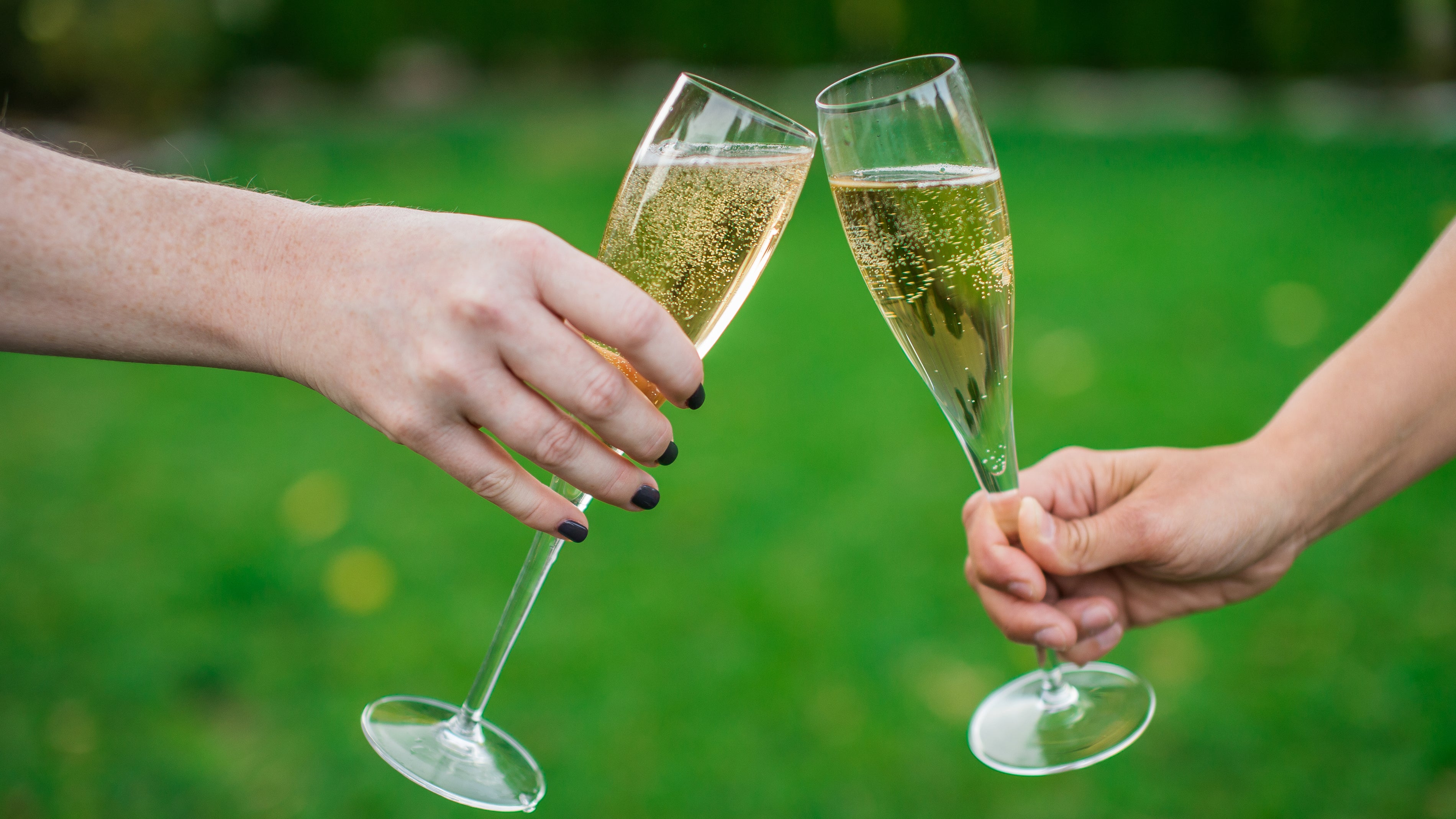 Cheers to the Holidays: Champagne Flutes or Glasse