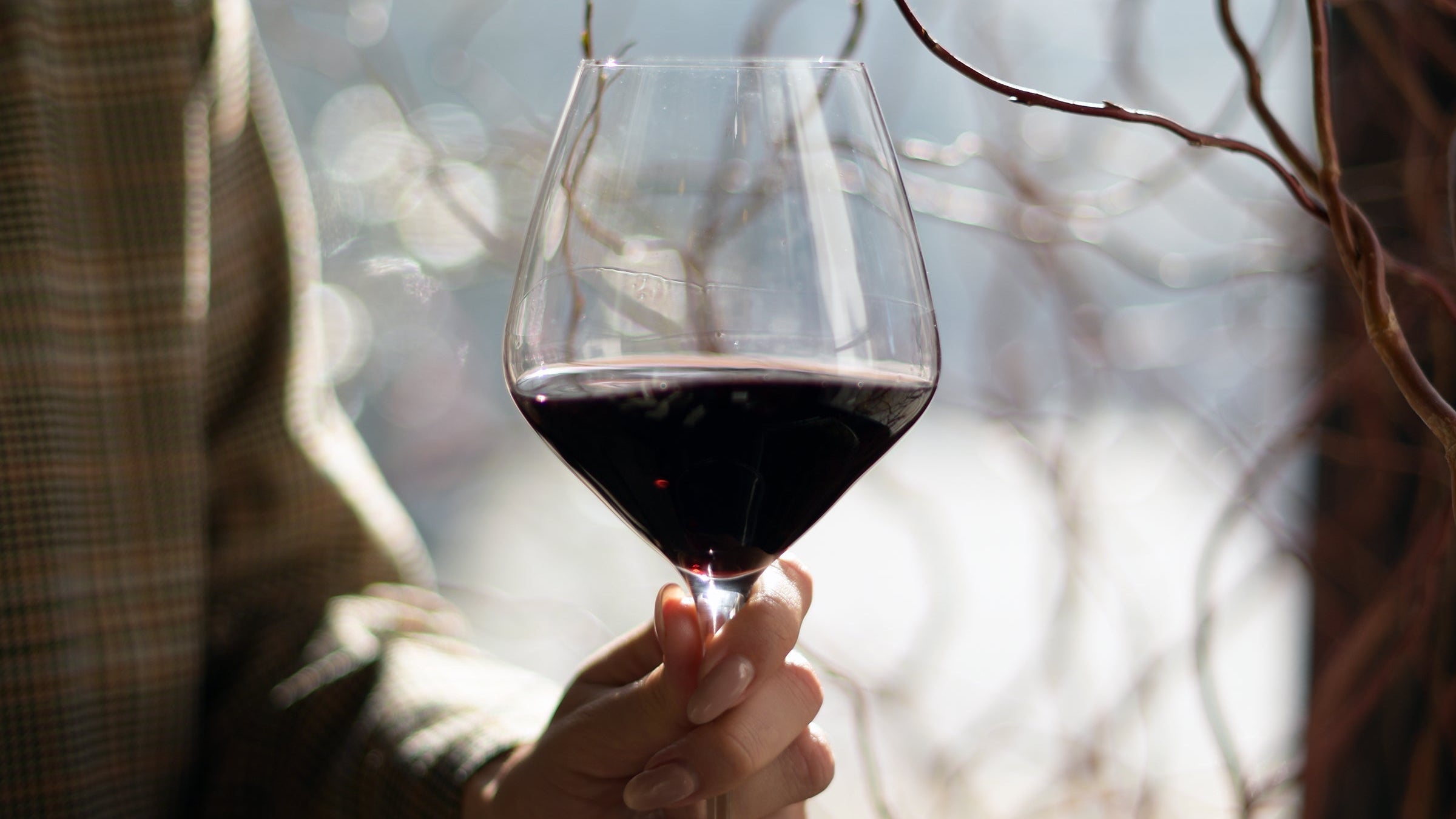 Summer Wine Guide: Chilled Reds and Zesty Whites