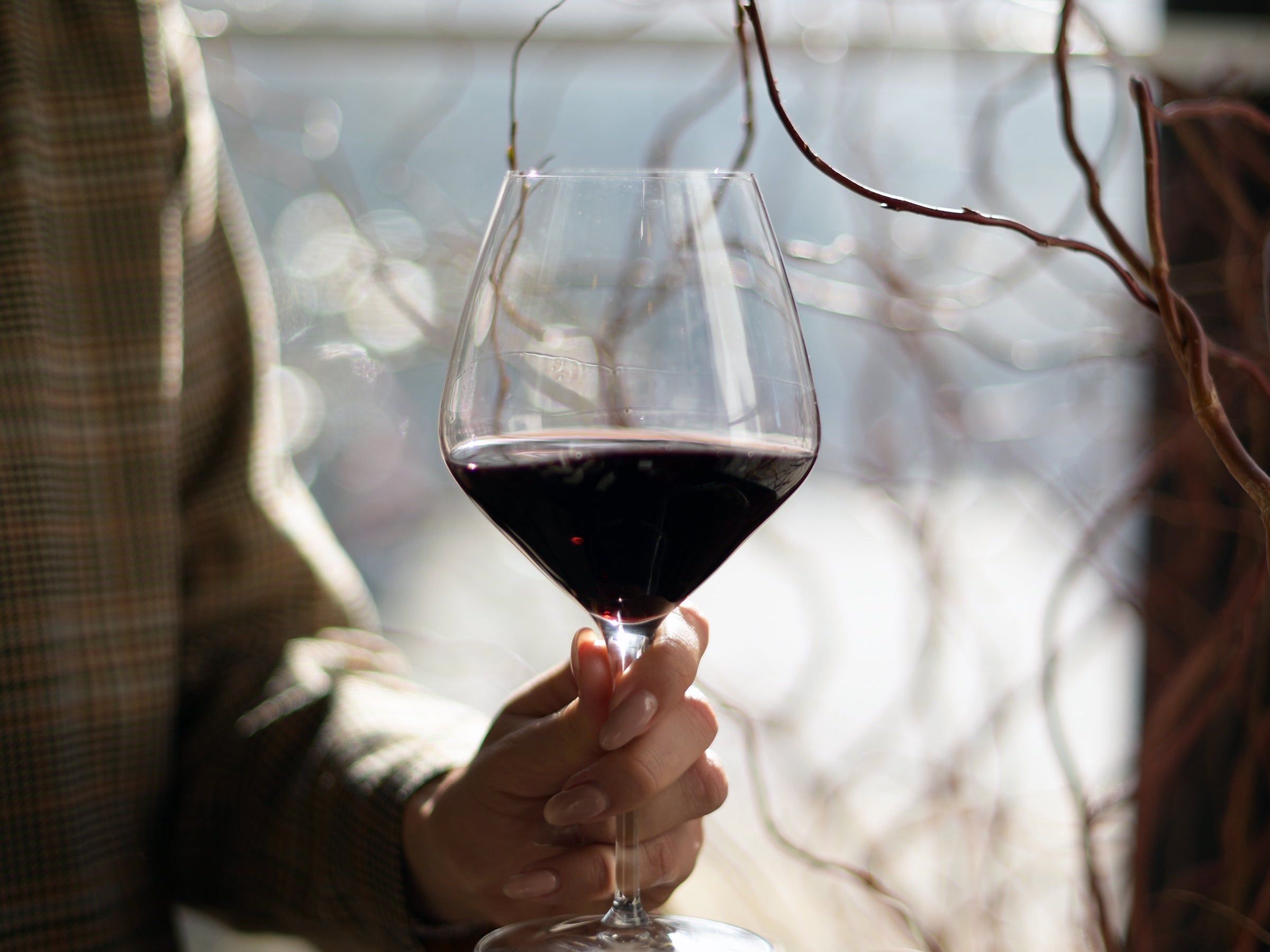 Summer Wine Guide: Chilled Reds and Zesty Whites