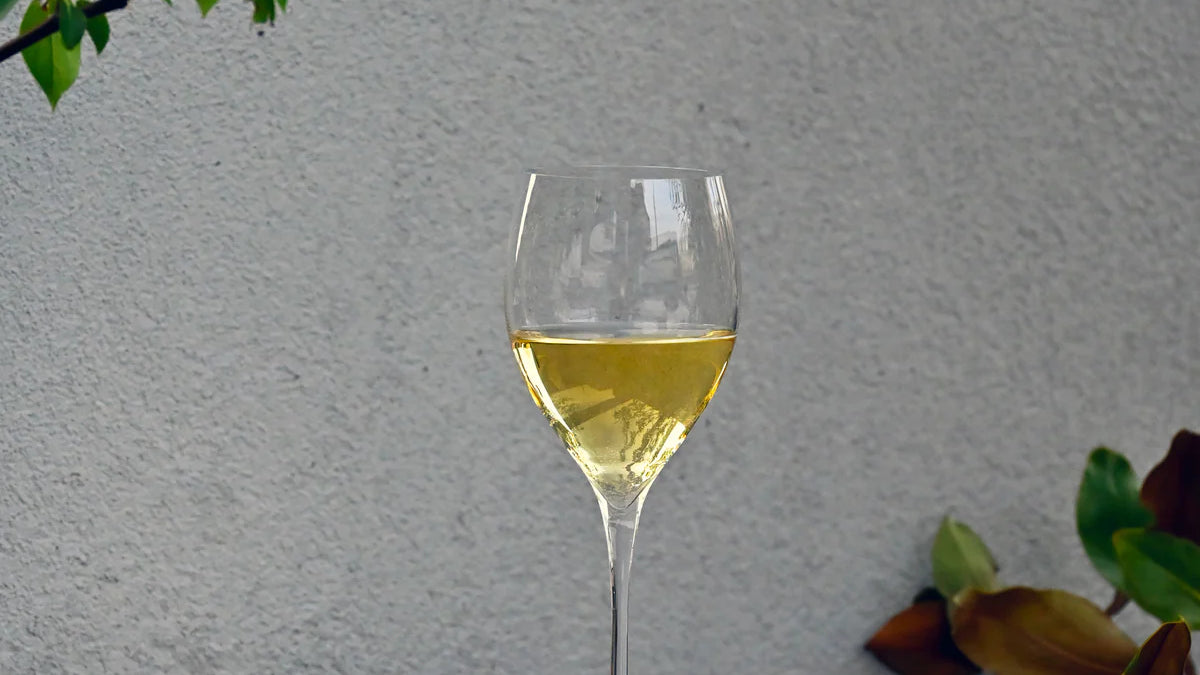 Toasting to Spring's Arrival: White Wines