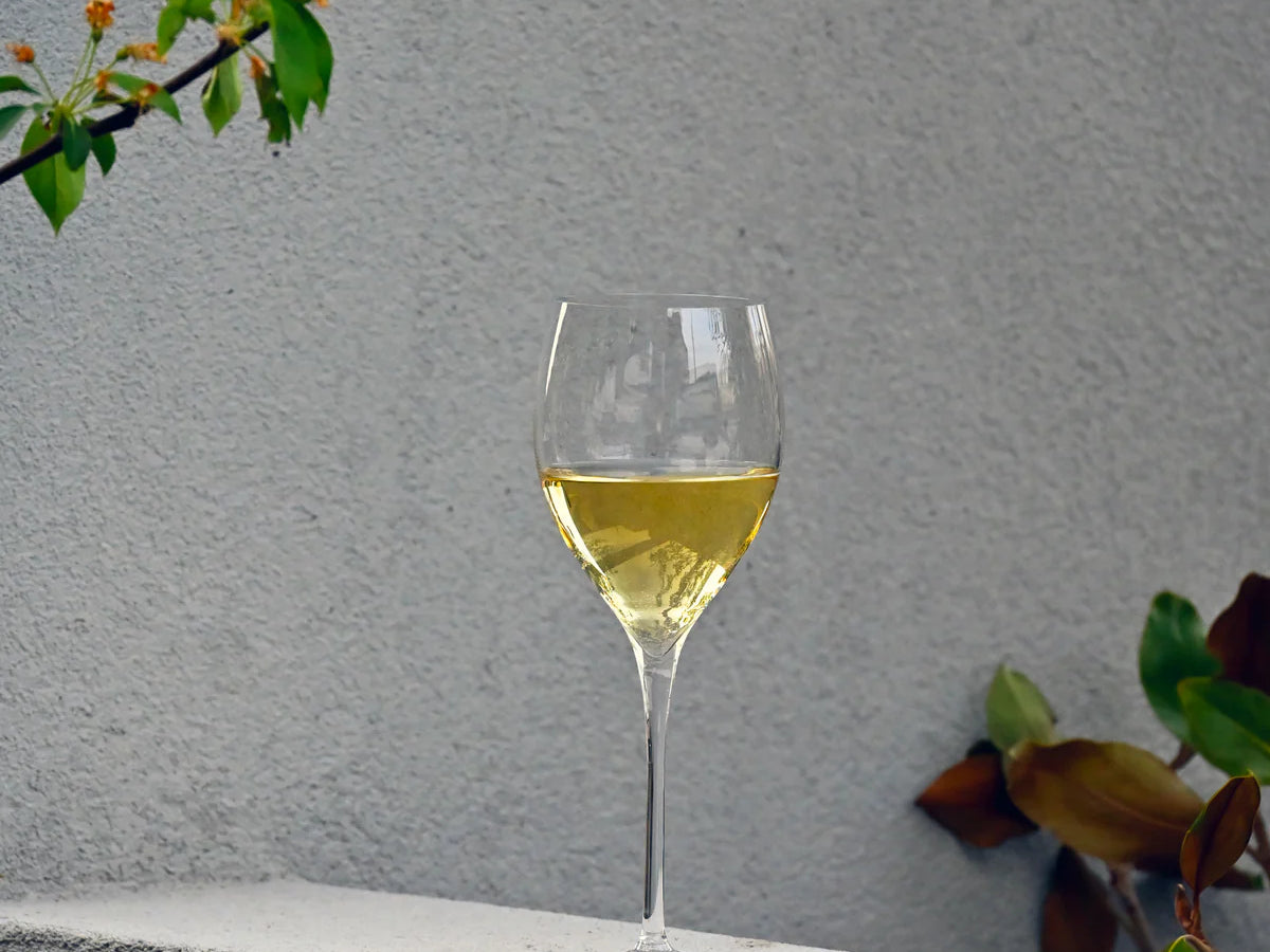 Toasting to Spring's Arrival: White Wines