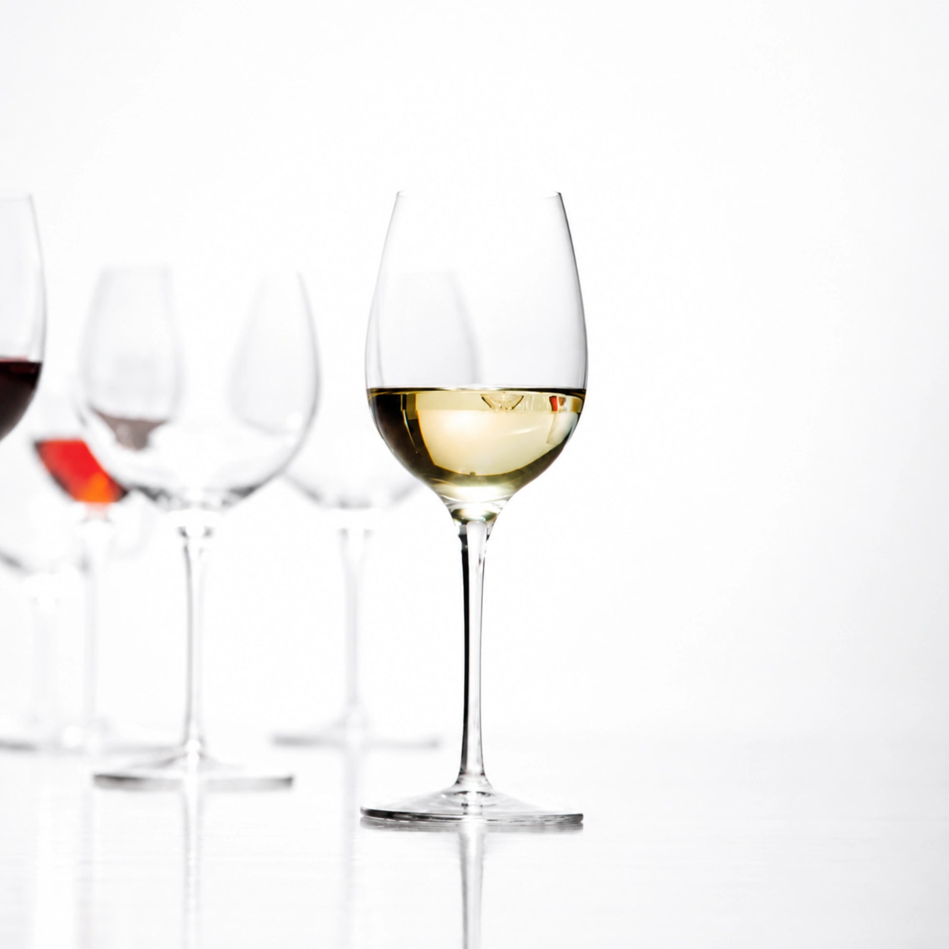 Vinoteque Fresco Red & White Wine Glasses