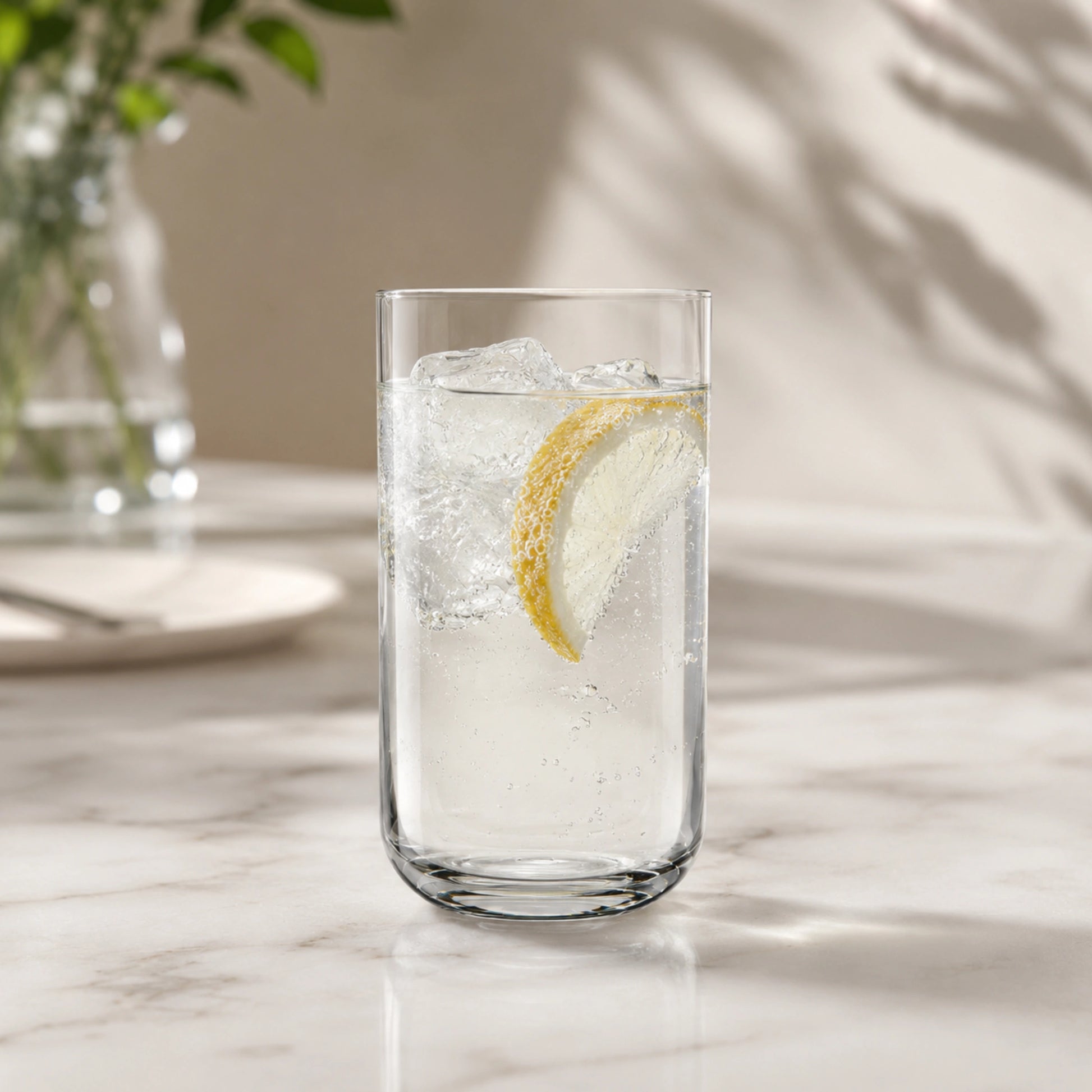 Sublime Long Drink Highball Glasses