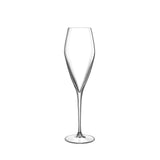 Luigi Bormioli Atelier 9.25 oz Champagne Glasses